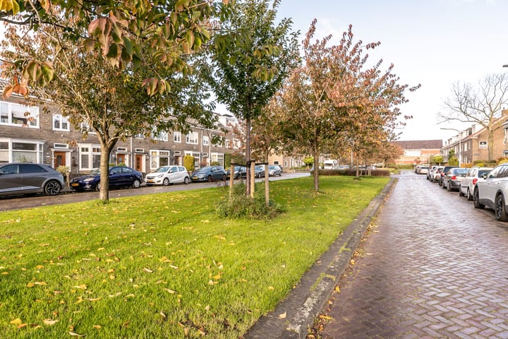 Foto 41 van Batavierenplantsoen 16