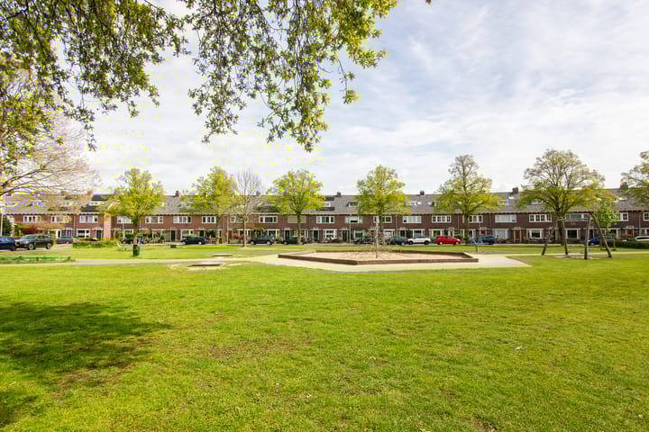 Foto 42 van Batavierenplantsoen 16