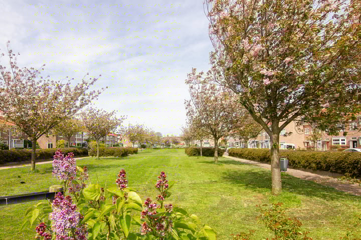 Foto 43 van Batavierenplantsoen 16