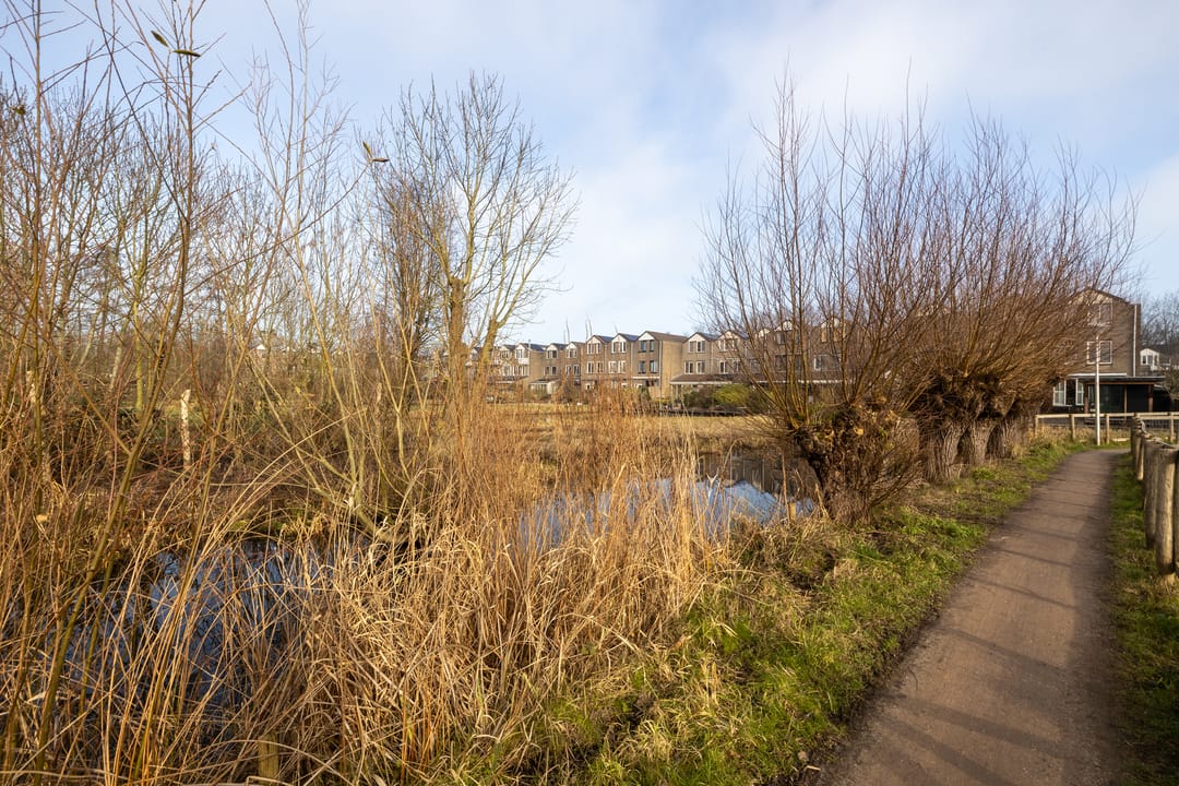 Foto 62 van Albrechtsveld 111