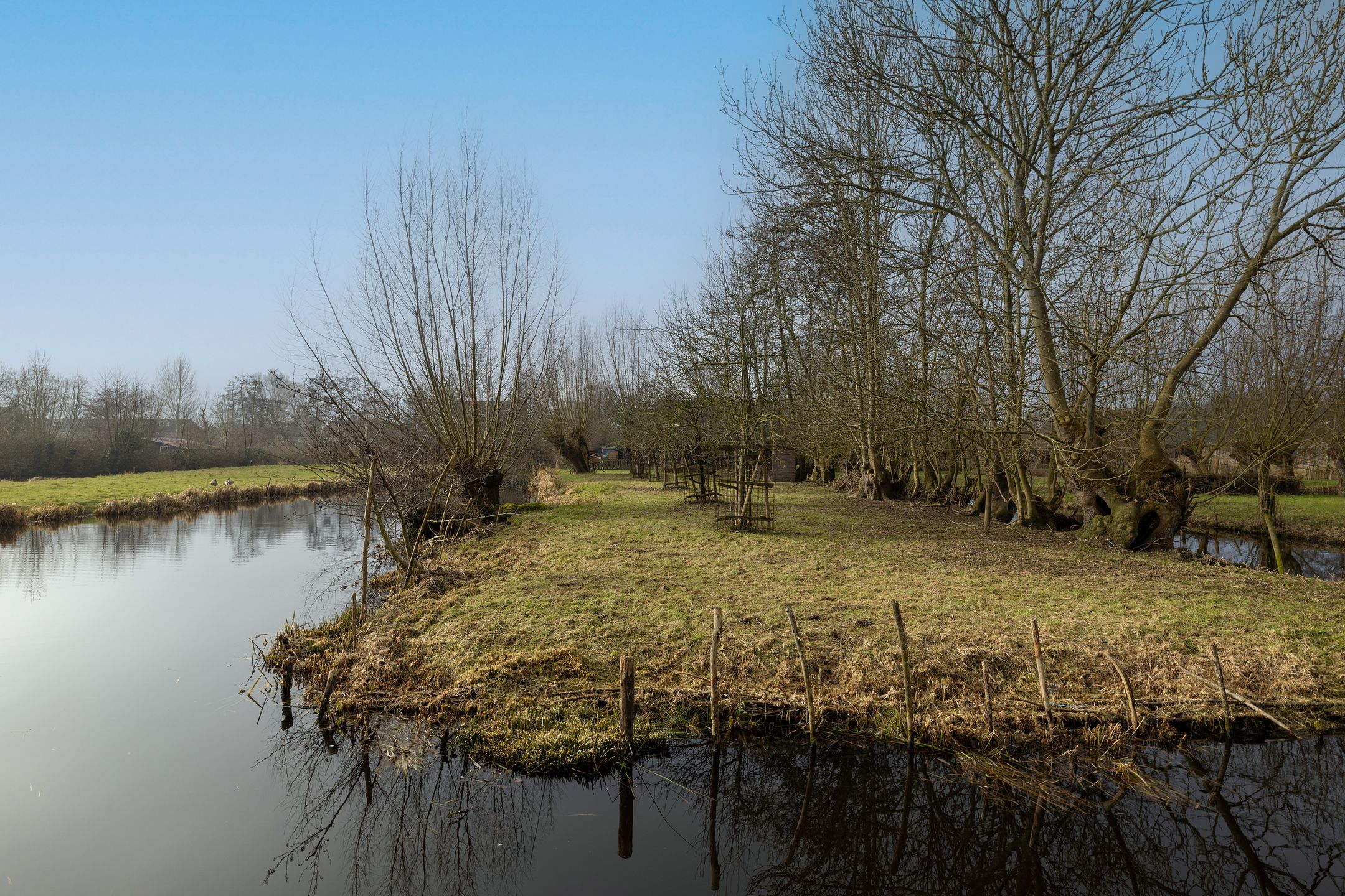 Foto 63 van Albrechtsveld 111