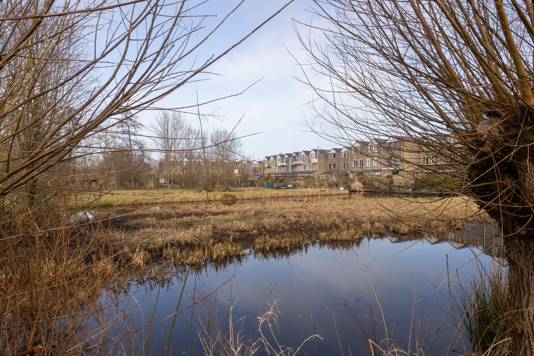 Foto 66 van Albrechtsveld 111