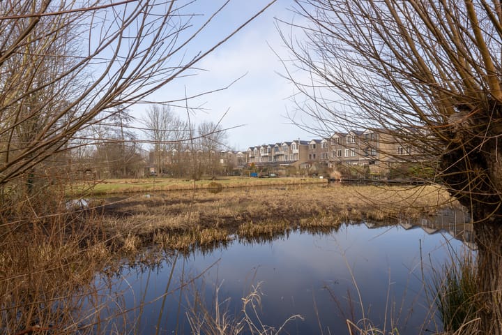 Foto 66 van Albrechtsveld 111