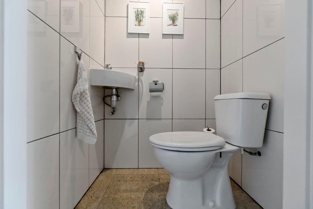 Foto 8 van Groenland 62