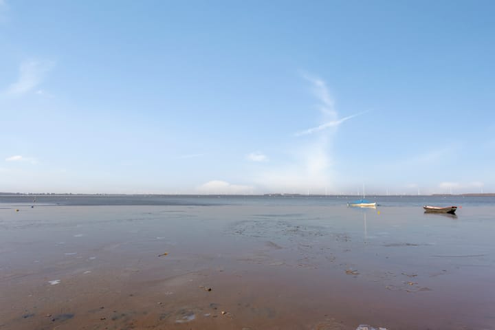 Foto 44 van Rietgorsmeen 91