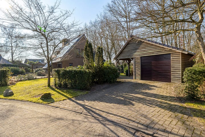 Foto 5 van Dambeern 12