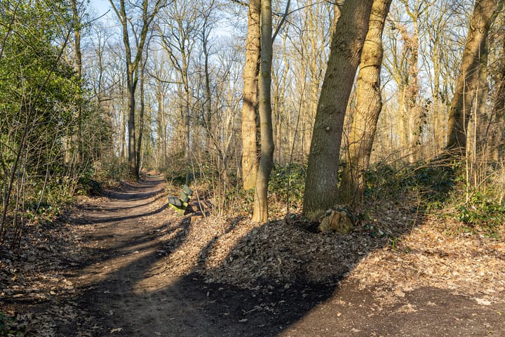 Foto 7 van Dambeern 12