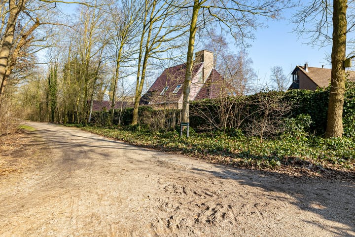 Foto 9 van Dambeern 12