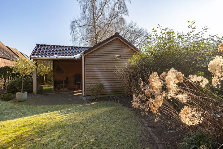 Foto 45 van Dambeern 12