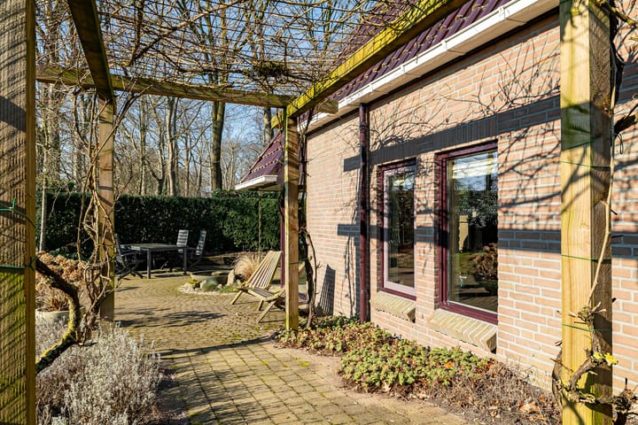 Foto 51 van Dambeern 12