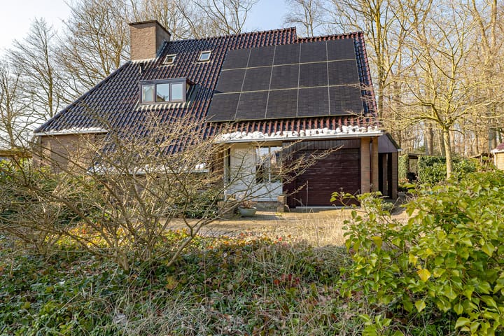 Foto 53 van Dambeern 12