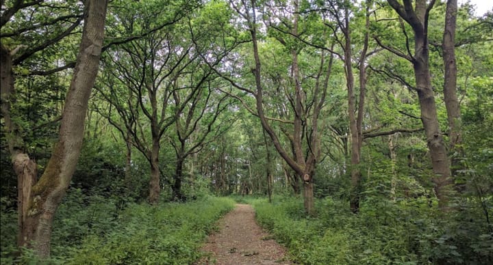 Photo 21 of Akkerweg 41-029