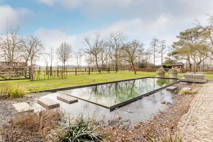 Foto 42 van Soeperdonken 2