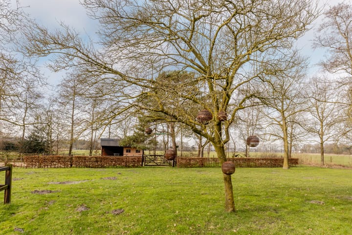 Foto 50 van Soeperdonken 2