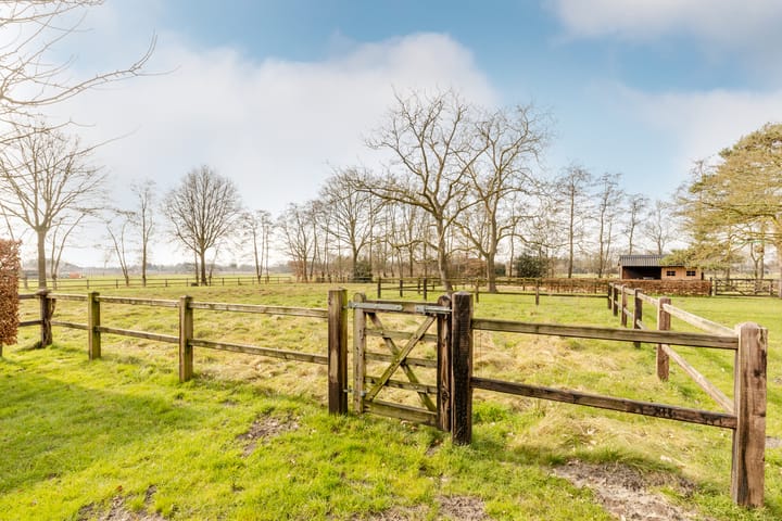 Foto 51 van Soeperdonken 2