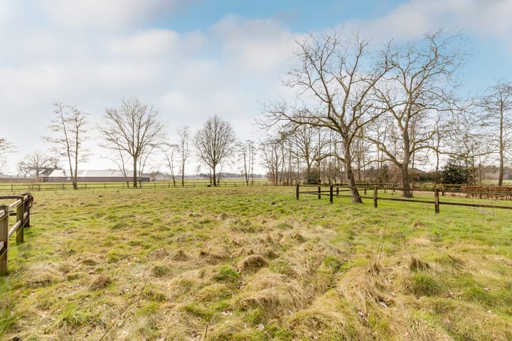 Foto 52 van Soeperdonken 2