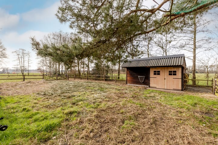 Foto 53 van Soeperdonken 2