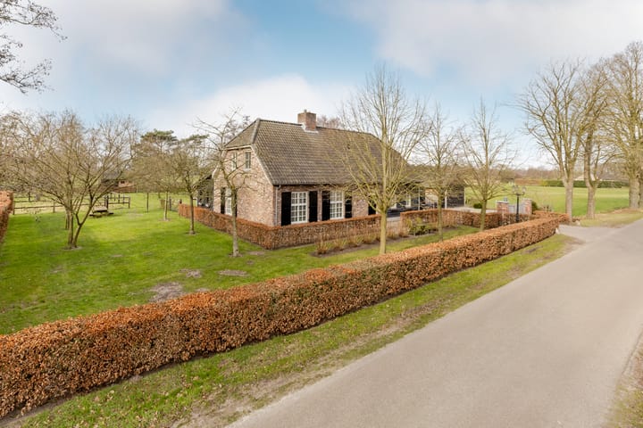 Foto 62 van Soeperdonken 2