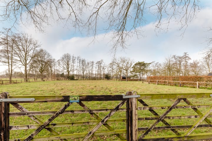 Foto 63 van Soeperdonken 2