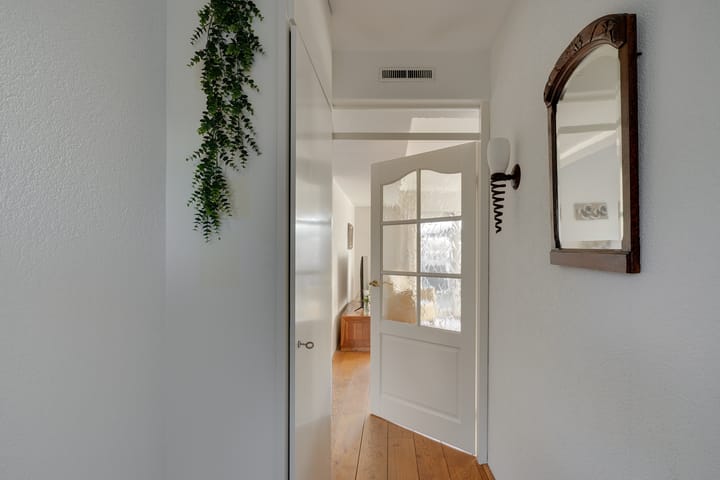 Foto 4 van Dwergvinvis 24