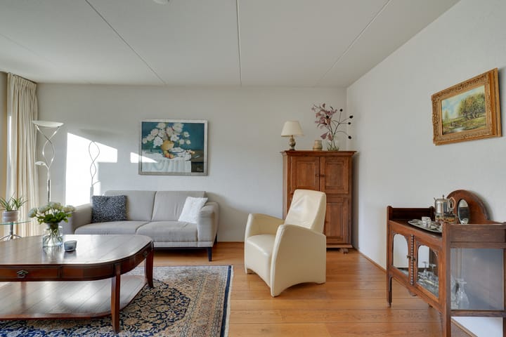 Foto 6 van Dwergvinvis 24