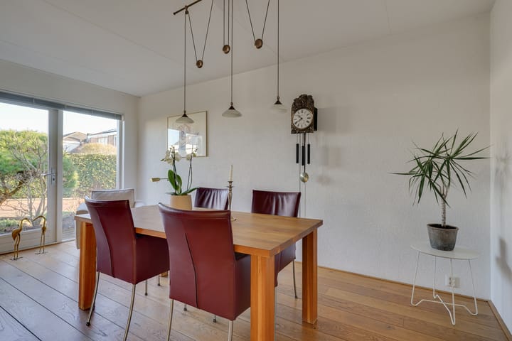 Foto 10 van Dwergvinvis 24