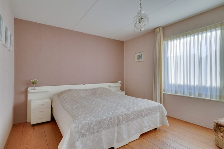 Foto 19 van Dwergvinvis 24