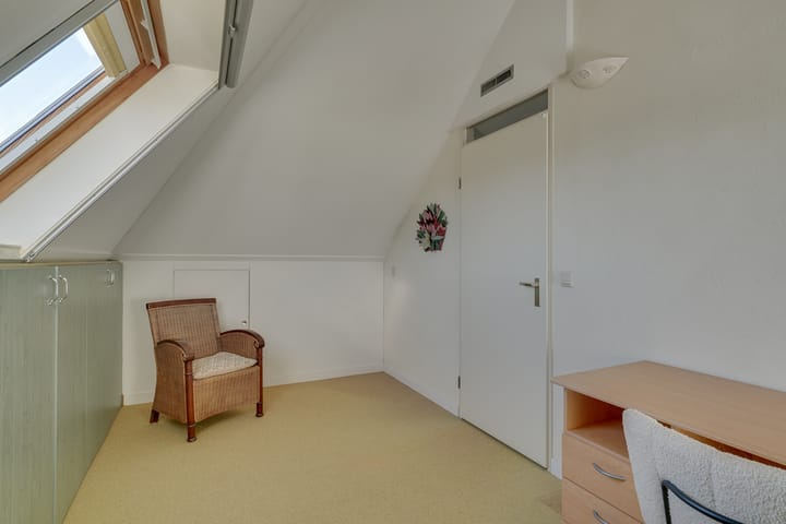 Foto 24 van Dwergvinvis 24