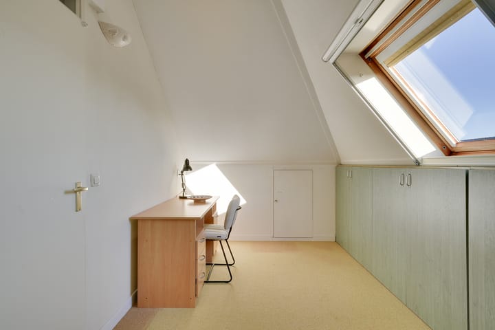 Foto 25 van Dwergvinvis 24