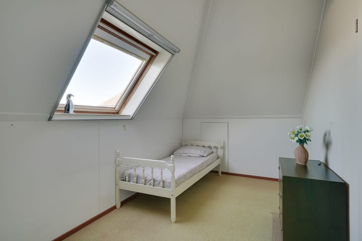 Foto 26 van Dwergvinvis 24