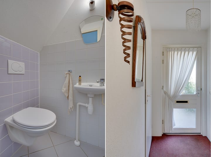 Foto 31 van Dwergvinvis 24