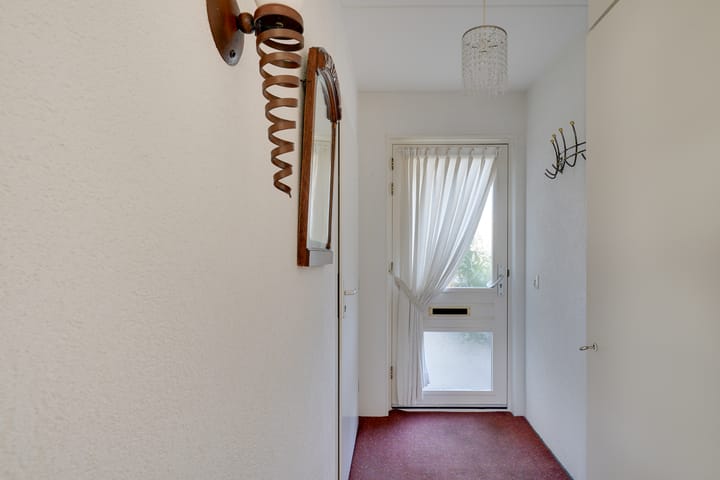 Foto 32 van Dwergvinvis 24