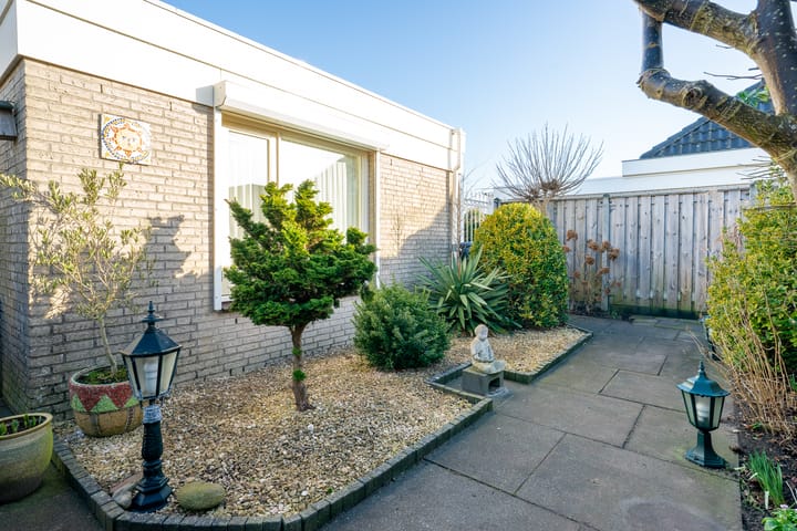 Foto 35 van Dwergvinvis 24