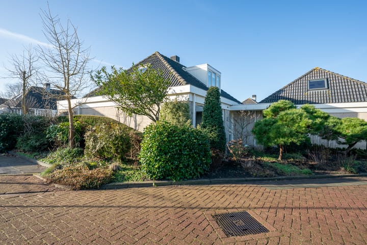 Foto 38 van Dwergvinvis 24