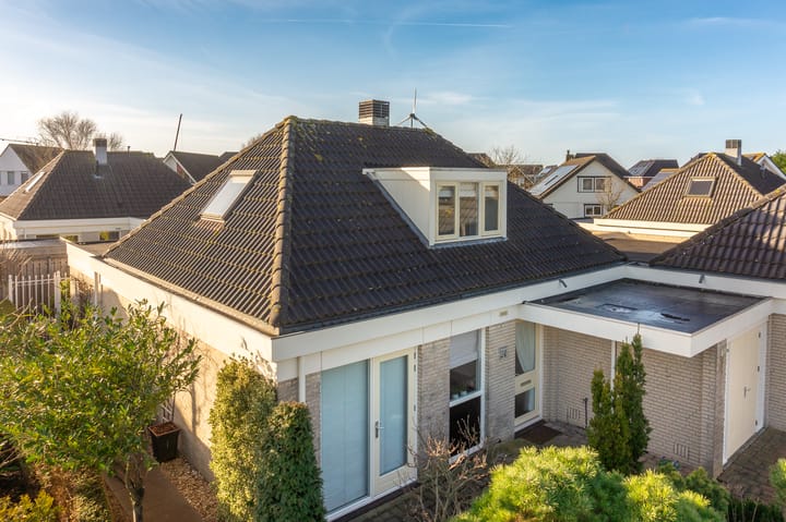 Foto 40 van Dwergvinvis 24