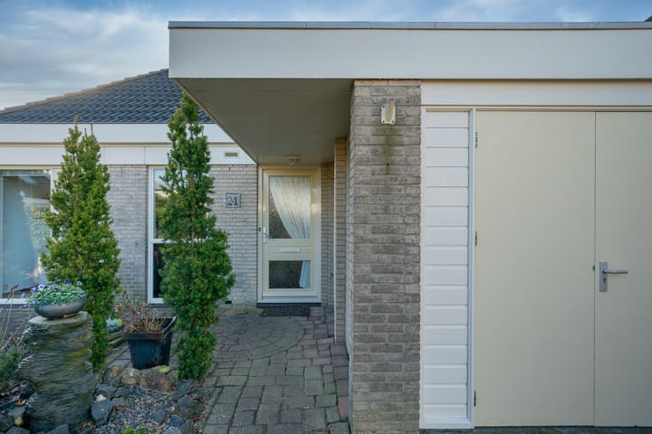 Foto 34 van Dwergvinvis 24