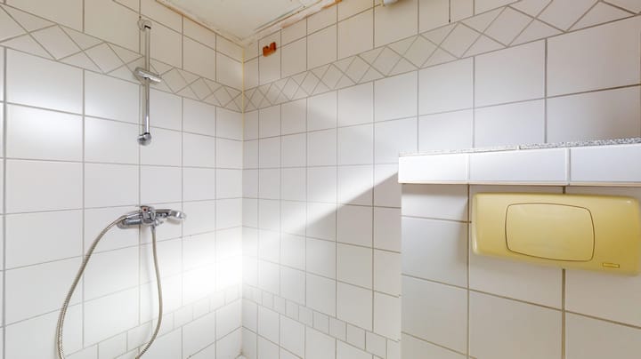 Foto 17 van Ridder Hoenstraat 121