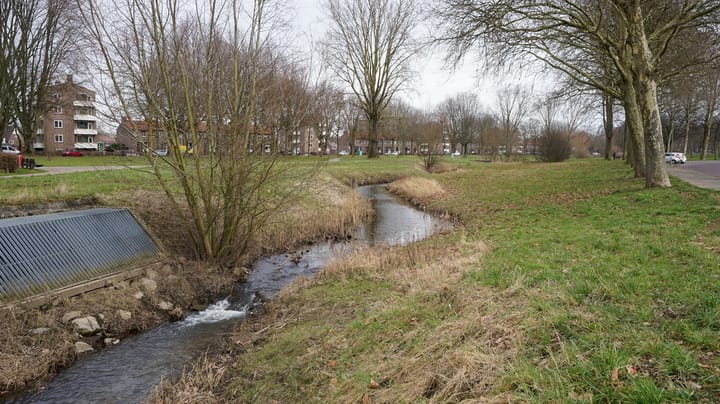 Foto 39 van Ridder Hoenstraat 121