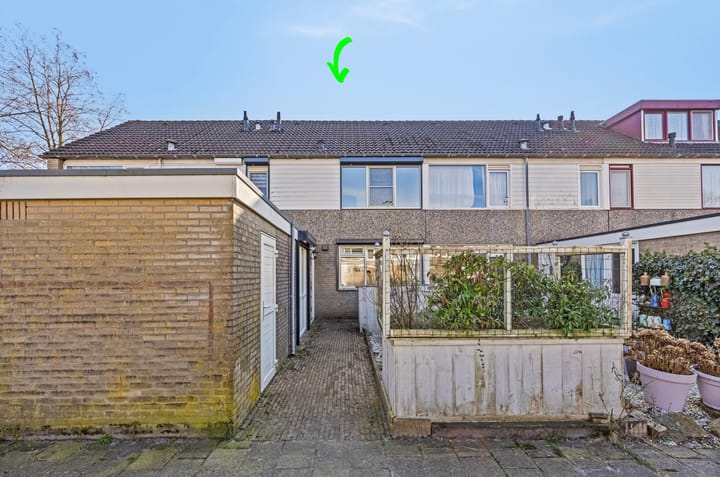 Foto 1 van Isabelladonk 22