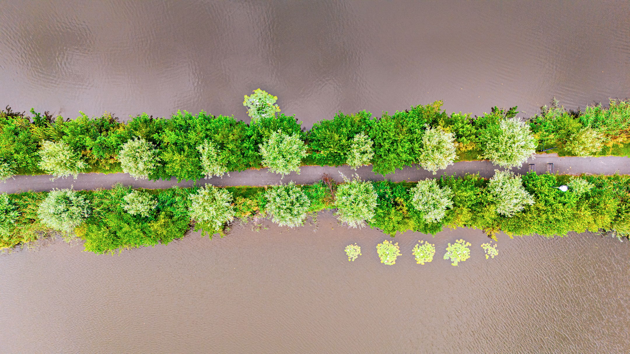 Foto 33 van Lauwersmeer 54