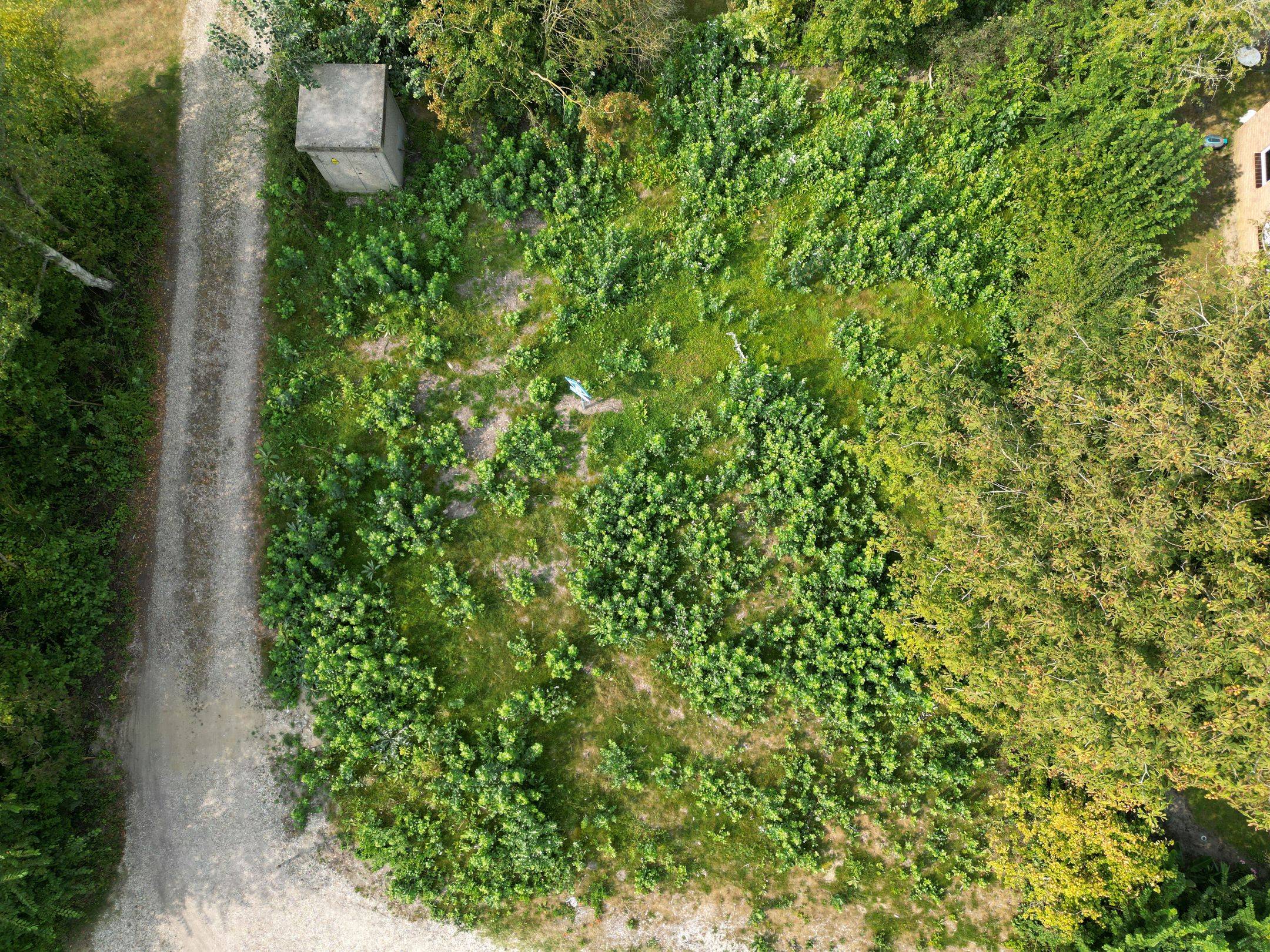 Foto 6 van Prinsenhof bouwkavel