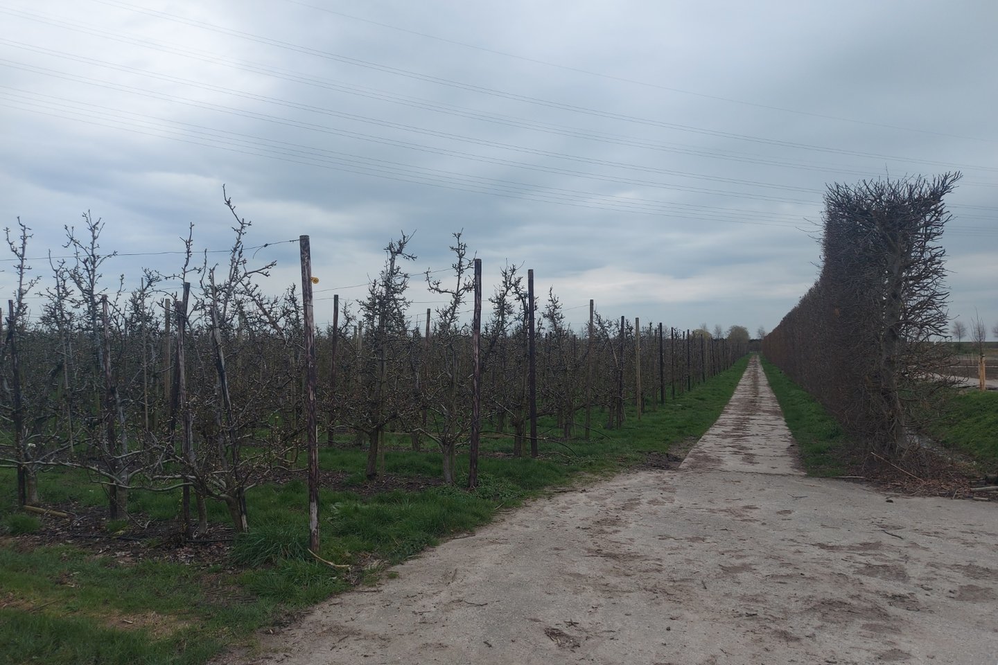 View photo 4 of nabij Zandweg