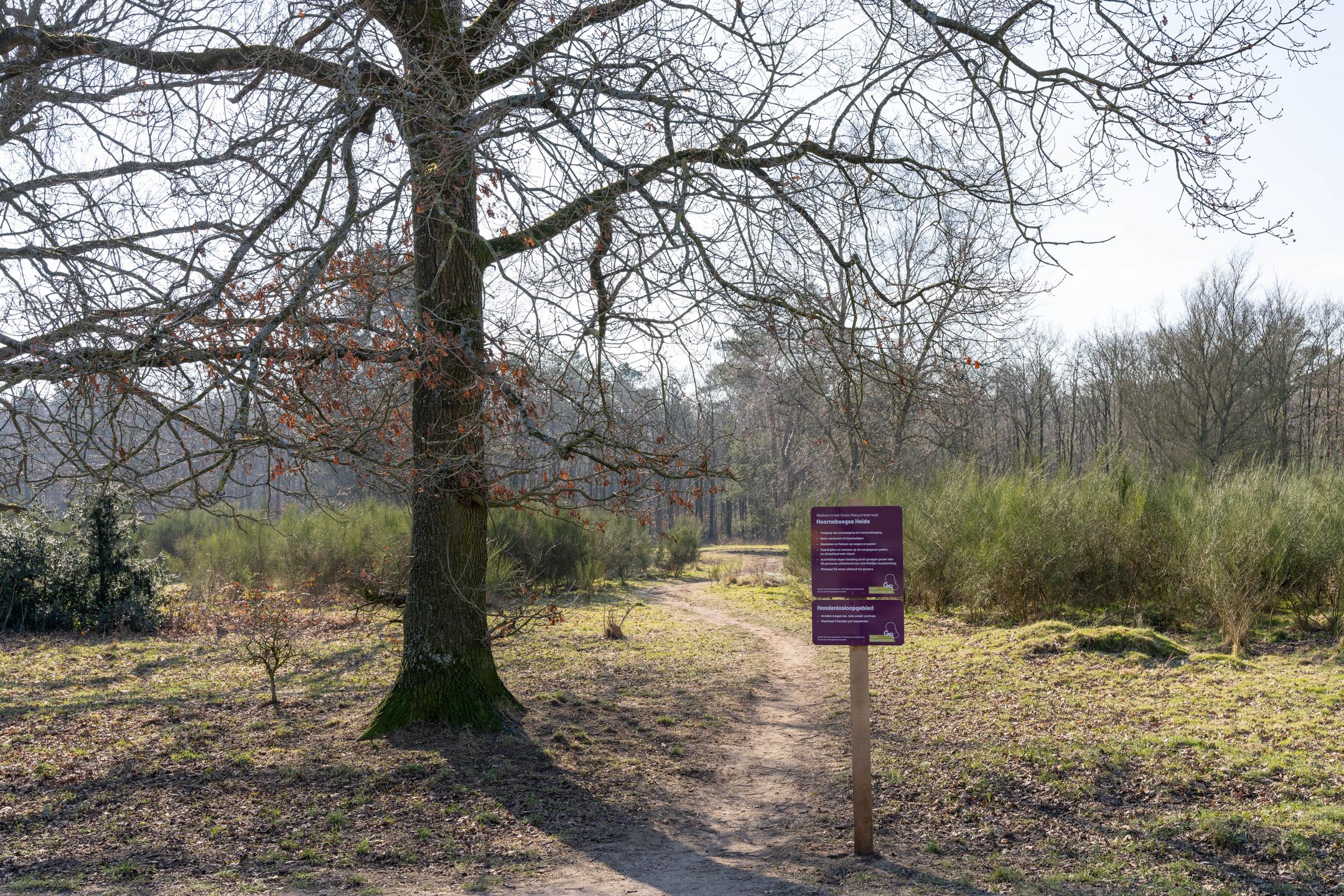 Foto 18 van Admiraal de Ruyterlaan 131