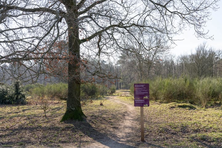 Photo 18 of Admiraal de Ruyterlaan 131