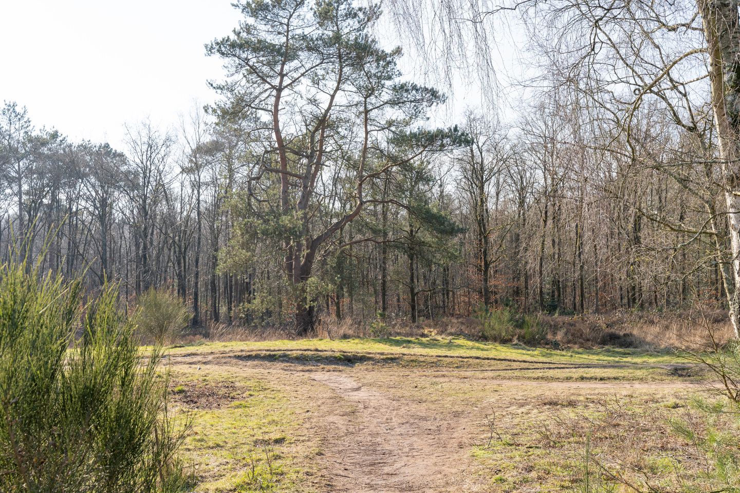 Foto 19 van Admiraal de Ruyterlaan 131