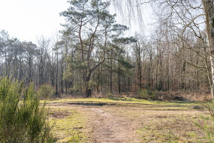 Photo 19 of Admiraal de Ruyterlaan 131