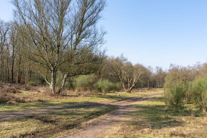 Photo 20 of Admiraal de Ruyterlaan 131