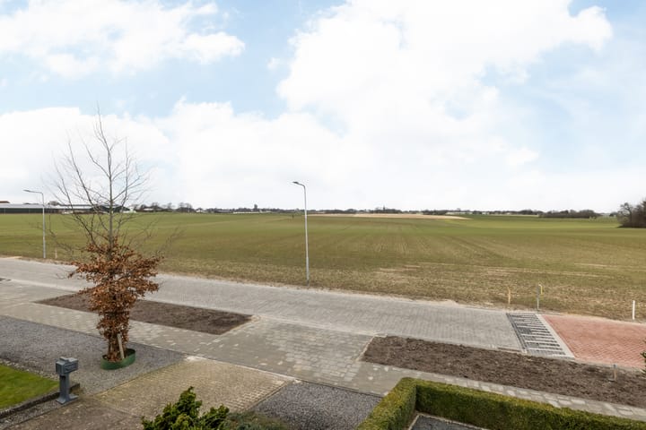 Foto 24 van Mesweg 37