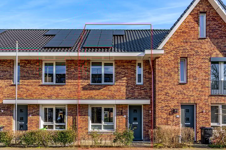 Foto 1 van Pieter Lieftinckstraat 13