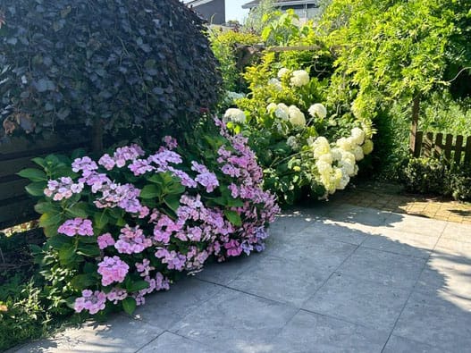 Foto 24 van Lauwers 86